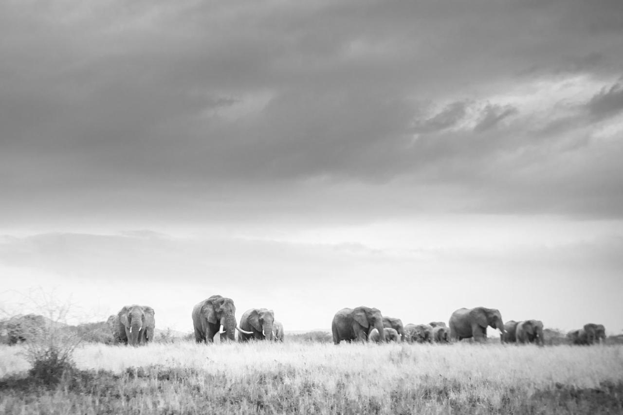 Rhino Sands Safari Camp Manyoni Private Game Reserve Exterior foto