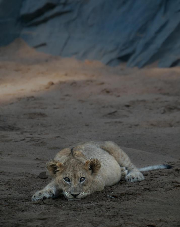 Rhino Sands Safari Camp Manyoni Private Game Reserve Exterior foto
